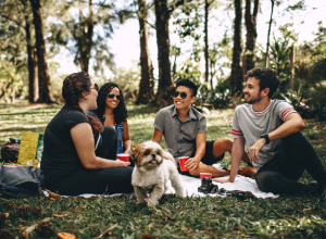 Mastering the Art of Connection: Your Guide to Attracting Healthy Relationships