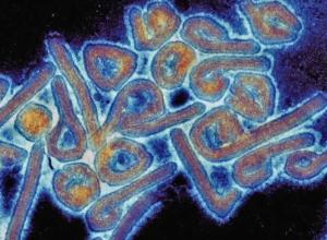 Tanzania Confirms Marburg Virus Outbreak in Kagera Region