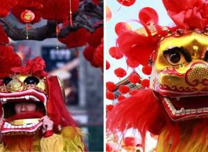Embracing the Year of the Snake: Lunar New Year 2025 Celebrations and Traditions