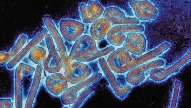 Tanzania Confirms Marburg Virus Outbreak in Kagera Region