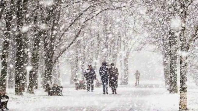 Historic Winter Storm Paralyzes Gulf Coast: Unprecedented Snowfall and Arctic Blast