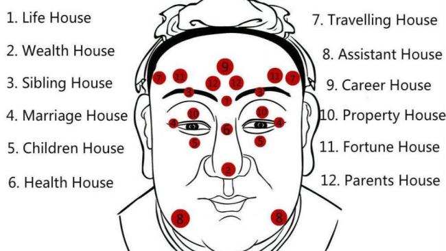 Mastering the Art of Face Reading: Predicting Behavior Through Facial Features